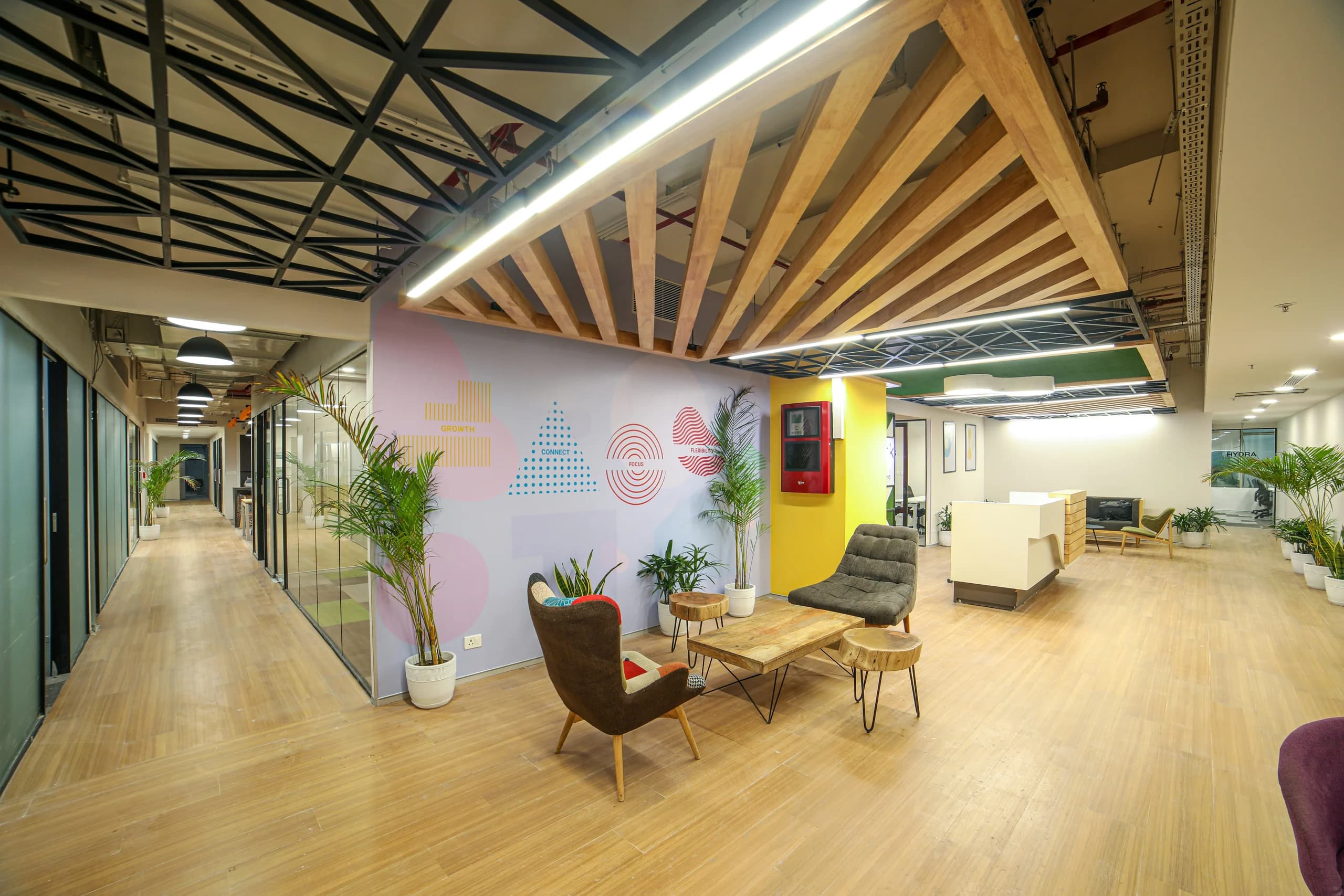 Colourful office lounge with timber ceiling beams, a painted feature wall, glazed rooms and a broad timber-toned floor